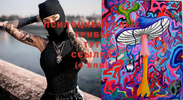дурь Белоозёрский